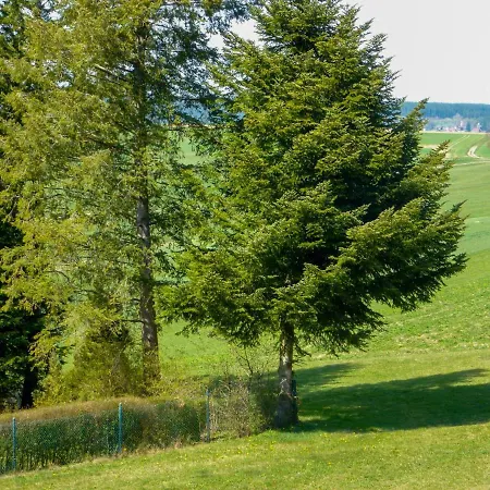 Vogelsang-1 *
